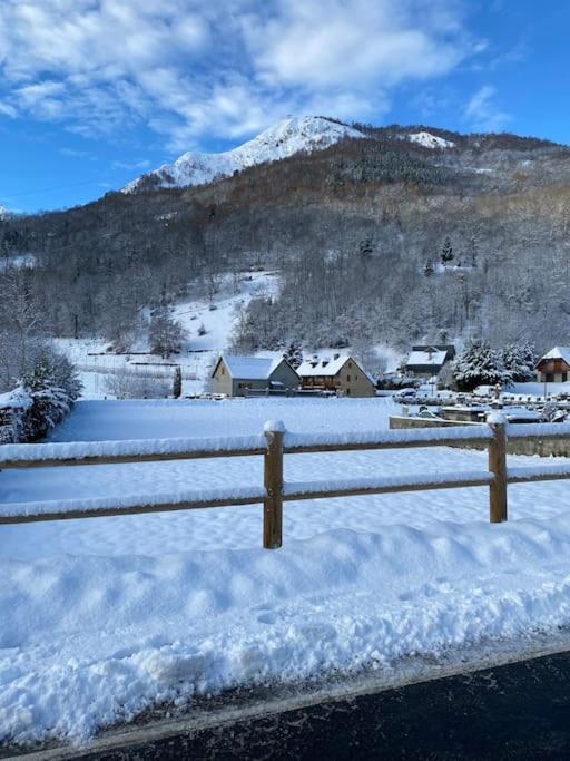 Vignec/Saint-Lary - T2 Cosy Avec Balcon & Piscine Lejlighed Eksteriør billede